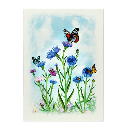 Veld Bloemen en Vlinders