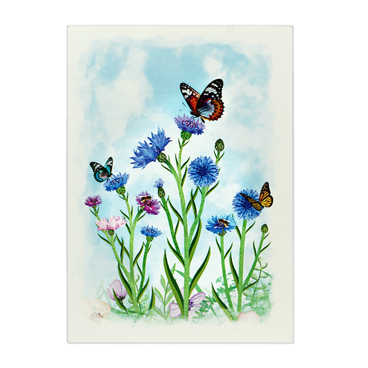 Veld Bloemen en Vlinders