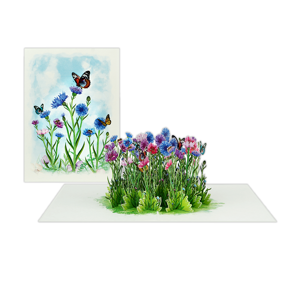 Veld Bloemen en Vlinders