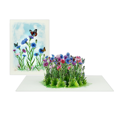 Veld Bloemen en Vlinders