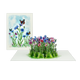 Veld Bloemen en Vlinders