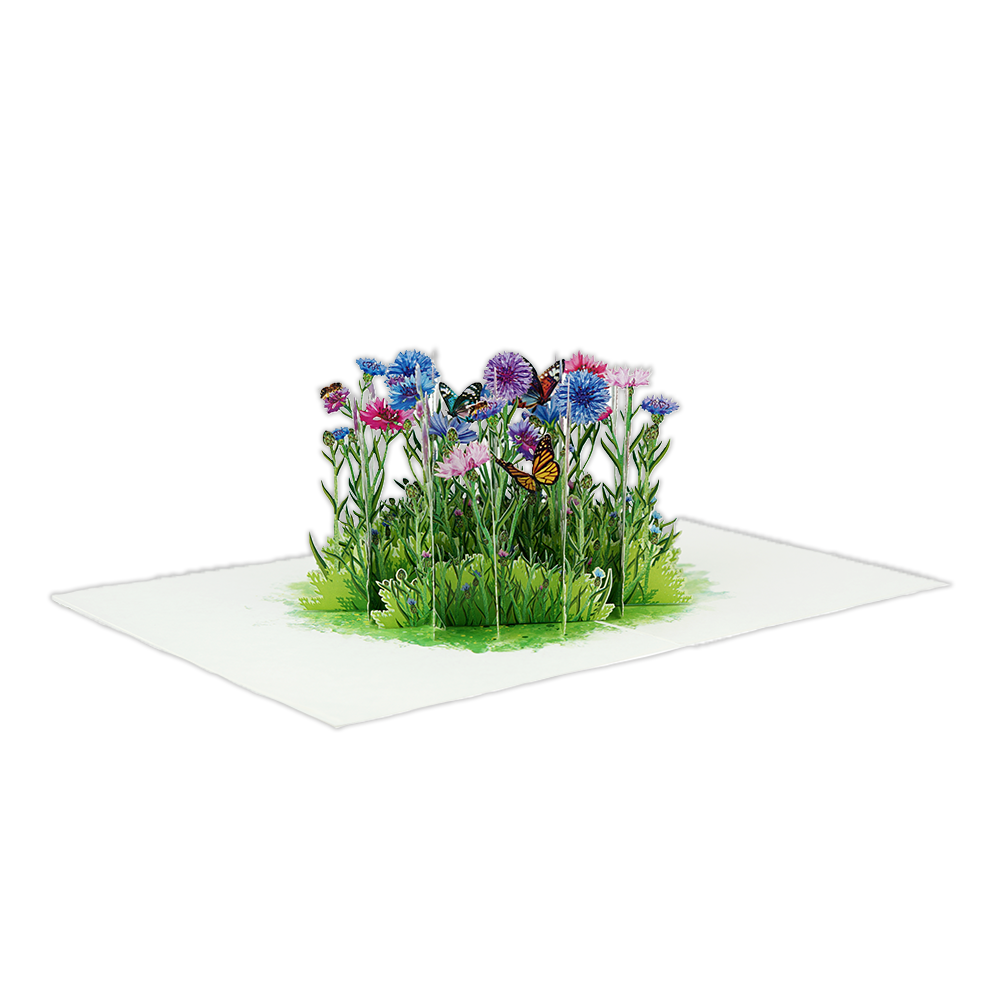 Veld Bloemen en Vlinders