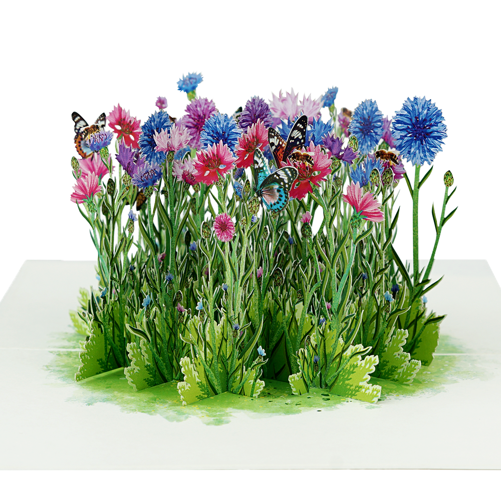 Veld Bloemen en Vlinders