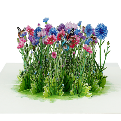 Veld Bloemen en Vlinders