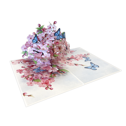 Bloesem en Vlinders