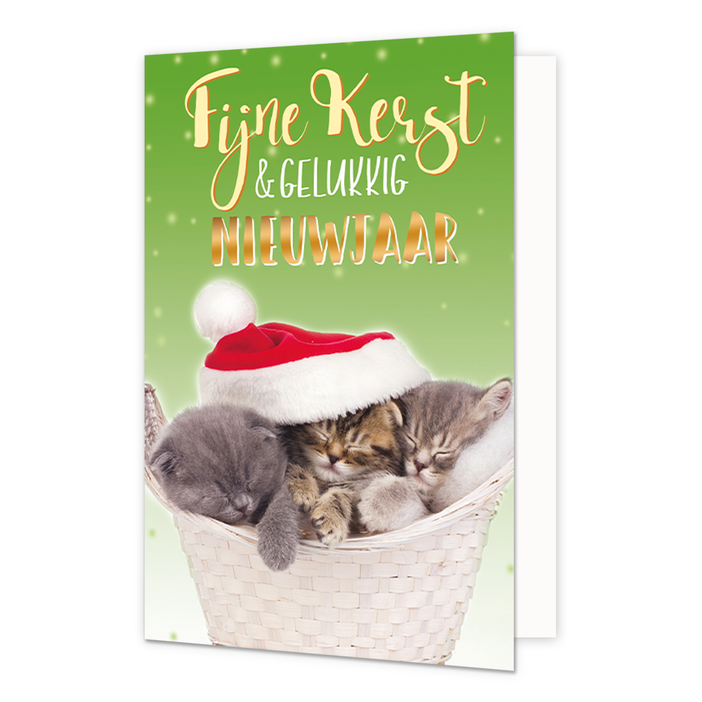 Fijne kerst & gelukkig nieuwjaar - 8 stuks