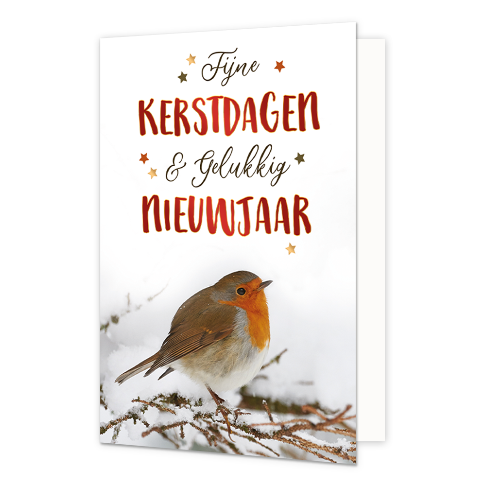 Fijne kerstdagen & gelukkig nieuwjaar - 8 stuks - Formaat: Normaal - Vorm: Staand - Kerstkaart - Op deze wenskaart staat een gedetailleerde foto van een roodborstje dat op een besneeuwde tak zit. De achtergrond is egaal wit, wat zorgt voor een rustig en winters effect. Bovenaan de kaart staat de tekst "Fijne KERSTDAGEN &amp; Gelukkig NIEUWJAAR" in een speelse combinatie van een zwart sierlijk handschrift en rode, handgetekende blokletters. De tekst is omringd door kleine goudkleurige sterretjes. - Snelwens