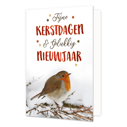 Fijne kerstdagen & gelukkig nieuwjaar - 8 stuks - Formaat: Standaard - Vorm: Staand - Kerstkaart - Op deze wenskaart staat een gedetailleerde foto van een roodborstje dat op een besneeuwde tak zit. De achtergrond is egaal wit, wat zorgt voor een rustig en winters effect. Bovenaan de kaart staat de tekst "Fijne KERSTDAGEN &amp; Gelukkig NIEUWJAAR" in een speelse combinatie van een zwart sierlijk handschrift en rode, handgetekende blokletters. De tekst is omringd door kleine goudkleurige sterretjes. - Snelwe