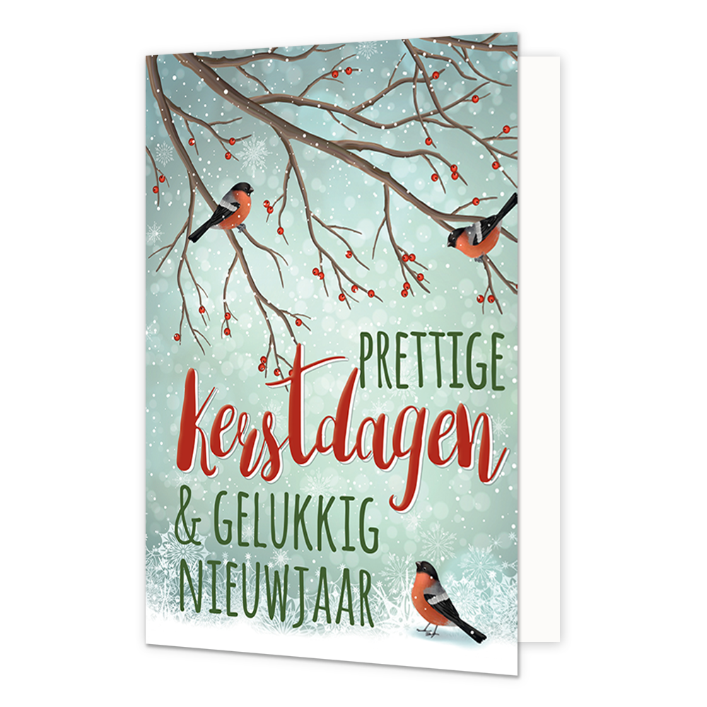 Prettige kerstdagen & gelukkig nieuwjaar - 8 stuks