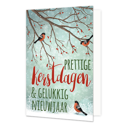 Prettige kerstdagen & gelukkig nieuwjaar - 8 stuks