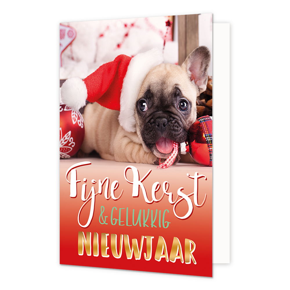 Fijne kerst & gelukkig nieuwjaar - 8 stuks