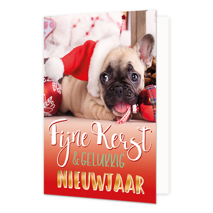 Fijne kerst & gelukkig nieuwjaar - 8 stuks