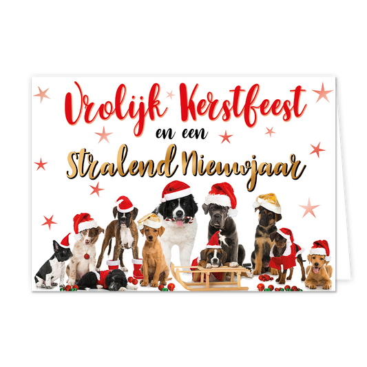 Op deze wenskaart staat een witte achtergrond versierd met diverse lichtrode sterren en een grote groep honden van verschillende rassen die kerstmutsen dragen. De honden zijn feestelijk uitgedost, waarbij sommigen ook kerstpakjes dragen en er een houten slee tussen hen in staat. Bovenaan de kaart staat de tekst "Vrolijk Kerstfeest" in rode sierletters, gevolgd door "en een" in zwarte letters. Daaronder staat de tekst "Stralend Nieuwjaar" in een goudkleurig handschrift met een zwarte omlijning om de feesteli