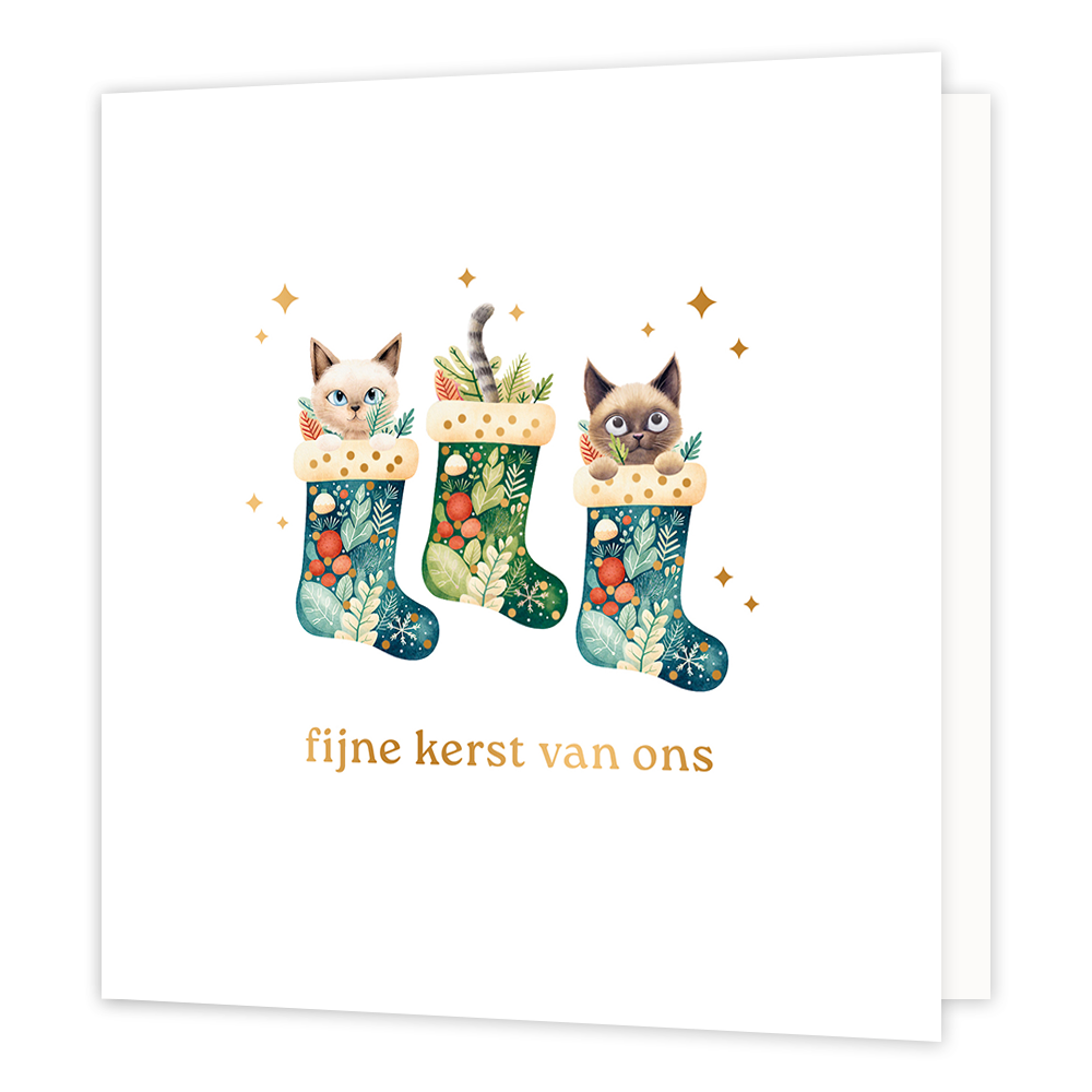 Fijne kerst van ons - Formaat: Normaal - Vorm: Vierkant - Kerstkaart - Op deze wenskaart staat een aandoenlijke illustratie van drie rijk versierde kerstsokken die gevuld zijn met winterse takjes, besjes en drie nieuwsgierige katjes. Twee van de katjes gluren met grote ogen over de rand van hun sok, terwijl van het middelste katje alleen een vrolijk gestreept staartje boven de sok uitsteekt. De sokken zijn voorzien van verfijnde botanische patronen en de hele scène wordt omringd door fonkelende goudkleurig