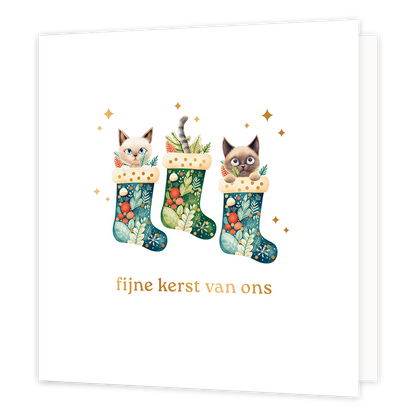 Fijne kerst van ons - Formaat: Normaal - Vorm: Vierkant - Kerstkaart - Op deze wenskaart staat een aandoenlijke illustratie van drie rijk versierde kerstsokken die gevuld zijn met winterse takjes, besjes en drie nieuwsgierige katjes. Twee van de katjes gluren met grote ogen over de rand van hun sok, terwijl van het middelste katje alleen een vrolijk gestreept staartje boven de sok uitsteekt. De sokken zijn voorzien van verfijnde botanische patronen en de hele scène wordt omringd door fonkelende goudkleurig