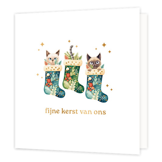 Fijne kerst van ons - Formaat: Normaal - Vorm: Vierkant - Kerstkaart - Op deze wenskaart staat een aandoenlijke illustratie van drie rijk versierde kerstsokken die gevuld zijn met winterse takjes, besjes en drie nieuwsgierige katjes. Twee van de katjes gluren met grote ogen over de rand van hun sok, terwijl van het middelste katje alleen een vrolijk gestreept staartje boven de sok uitsteekt. De sokken zijn voorzien van verfijnde botanische patronen en de hele scène wordt omringd door fonkelende goudkleurig