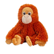 Knuffel Orang-oetan - Deze knuffel orang-oetan heeft een zachte, helderoranje pluche vacht en zit in een zittende houding. De aap is voorzien van een lichte, beige gelaatskleur rond de ogen en snuit, donkere ogen, lange armen en lichte hand- en voetkussentjes. - Snelwenskaart