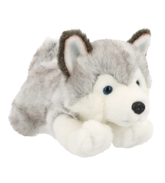 Knuffel puppy husky - Deze knuffel husky heeft een zachte, grijs-witte pluche vacht en ligt in een liggende houding. De husky is voorzien van opstaande oren met een lichte binnenkant, opvallende blauwe ogen, een zwarte neus en een witte snuit en poten. - Snelwenskaart