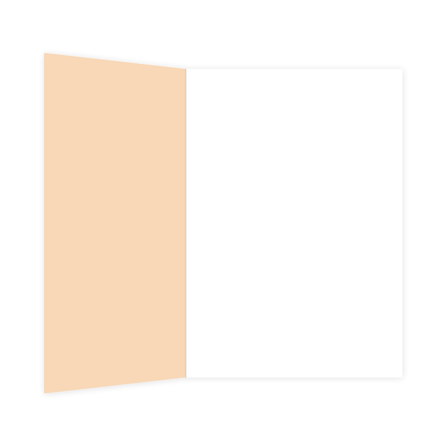 To the brand new mr & mrs