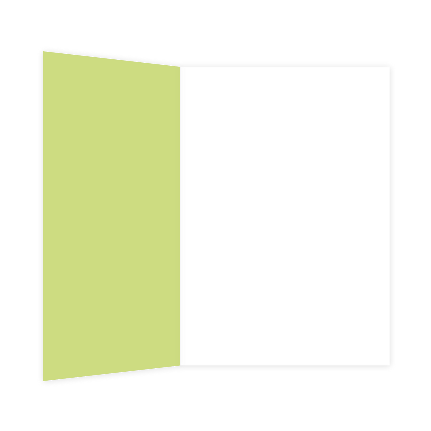 Say yes to new adventures