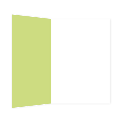 Say yes to new adventures