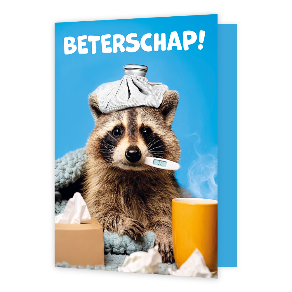 Beterschap! - Formaat: Groot - Vorm: Staand - Beterschapskaart - Op deze wenskaart staat een wasbeer afgebeeld tegen een helderblauwe achtergrond, die ziek in bed lijkt te liggen met een wit-grijze icepack op zijn hoofd en een digitale koortsthermometer met een droevig gezichtje in zijn mond. Het dier is toegedekt onder een blauwgrijze deken, terwijl er op de voorgrond een doos papieren zakdoekjes, losse gebruikte zakdoekjes en een gele mok met rokende vloeistof staan. Bovenaan de afbeelding is in grote, w