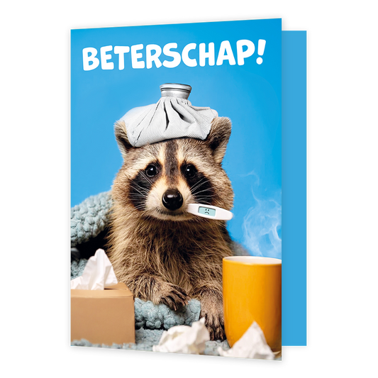 Beterschap! - Formaat: Groot - Vorm: Staand - Beterschapskaart - Op deze wenskaart staat een wasbeer afgebeeld tegen een helderblauwe achtergrond, die ziek in bed lijkt te liggen met een wit-grijze icepack op zijn hoofd en een digitale koortsthermometer met een droevig gezichtje in zijn mond. Het dier is toegedekt onder een blauwgrijze deken, terwijl er op de voorgrond een doos papieren zakdoekjes, losse gebruikte zakdoekjes en een gele mok met rokende vloeistof staan. Bovenaan de afbeelding is in grote, w