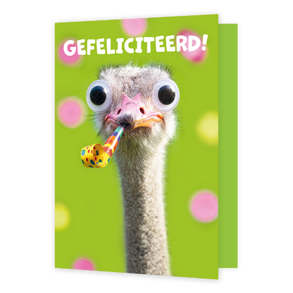 Gefeliciteerd!