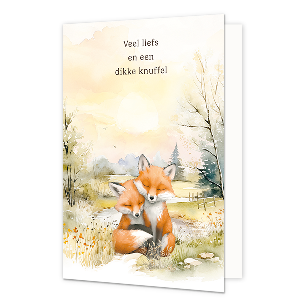 Veel liefs en een dikke knuffel