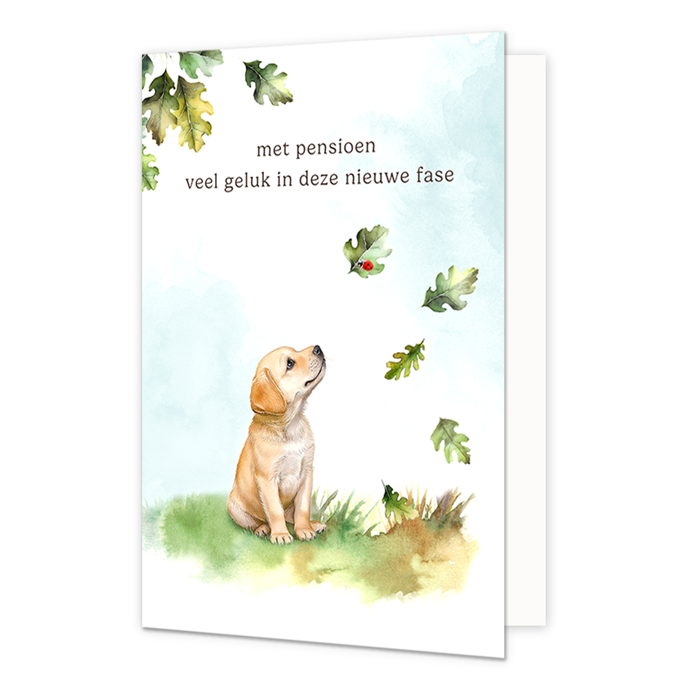 Op deze wenskaart staat een puppy die naar vallende bladeren kijkt. Boven de puppy staat in het zwart de tekst 'met pensioen veel geluk in deze nieuwe fase'.