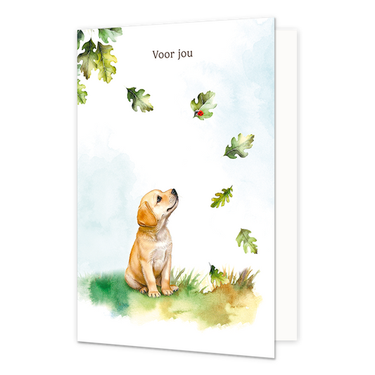 Voor jou Liefs - Formaat: Normaal - Vorm: Staand - Denken aan kaart - Op deze wenskaart staat een hondje die kijkt naar vallende blaadjes van een boom. Bovenaan staat de tekst: "Voor jou". - Snelwenskaart