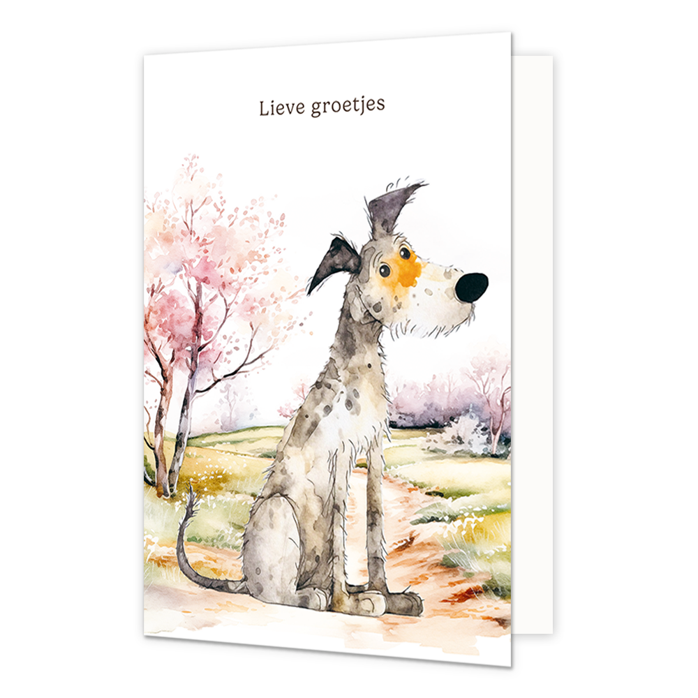 Lieve groetjes - Formaat: Standaard - Vorm: Staand - Denken aan kaart - Op deze wenskaart staat een hond die op een pad zit met daarboven de tekst: "Lieve groetjes". - Snelwenskaart