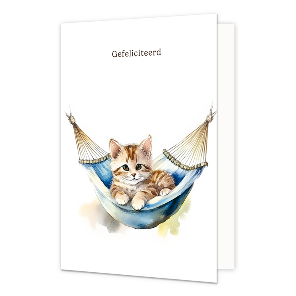 Gefeliciteerd - Formaat: Standaard - Vorm: Staand - Felicitatiekaart - Op deze wenskaart staat een kat die in een hangmat ligt met daarboven de tekst: "Gefeliciteerd". - Snelwenskaart