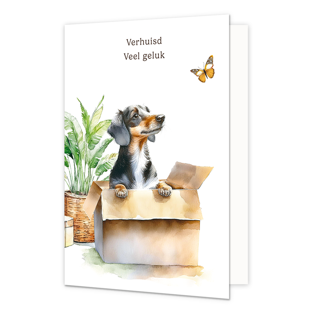 Verhuisd veel geluk - Formaat: Standaard - Vorm: Staand - Woningkaart - Op deze wenskaart staat een hond die uit een doos kijkt naar een vlinder met daarboven de tekst: "Verhuis veel geluk". - Snelwenskaart
