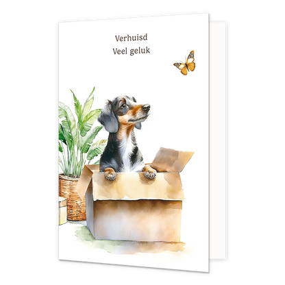 Verhuisd veel geluk - Formaat: Standaard - Vorm: Staand - Woningkaart - Op deze wenskaart staat een hond die uit een doos kijkt naar een vlinder met daarboven de tekst: "Verhuis veel geluk". - Snelwenskaart