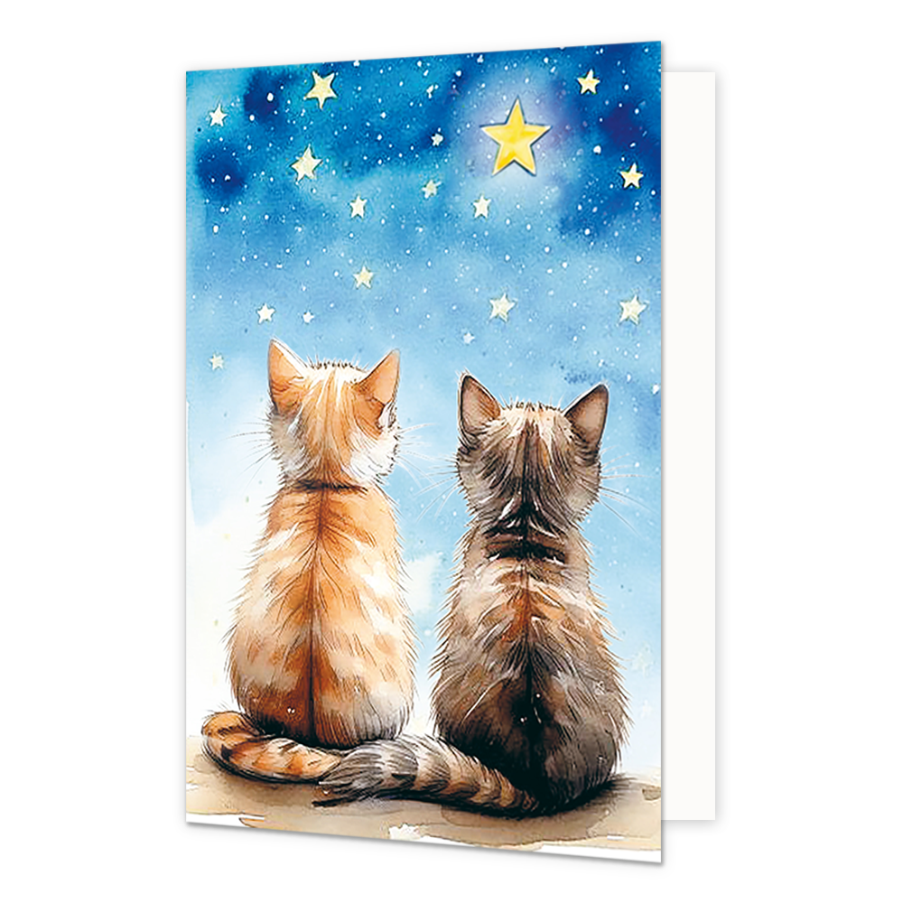 Poezen katten en sterren - Formaat: Normaal - Vorm: Staand - Blanco kaart - Op deze wenskaart staan twee katten die naar de sterren kijken. - Snelwenskaart