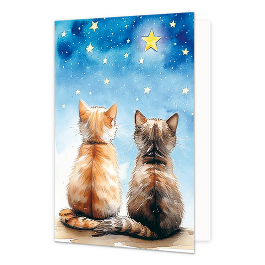 Poezen katten en sterren - Formaat: Normaal - Vorm: Staand - Blanco kaart - Op deze wenskaart staan twee katten die naar de sterren kijken. - Snelwenskaart