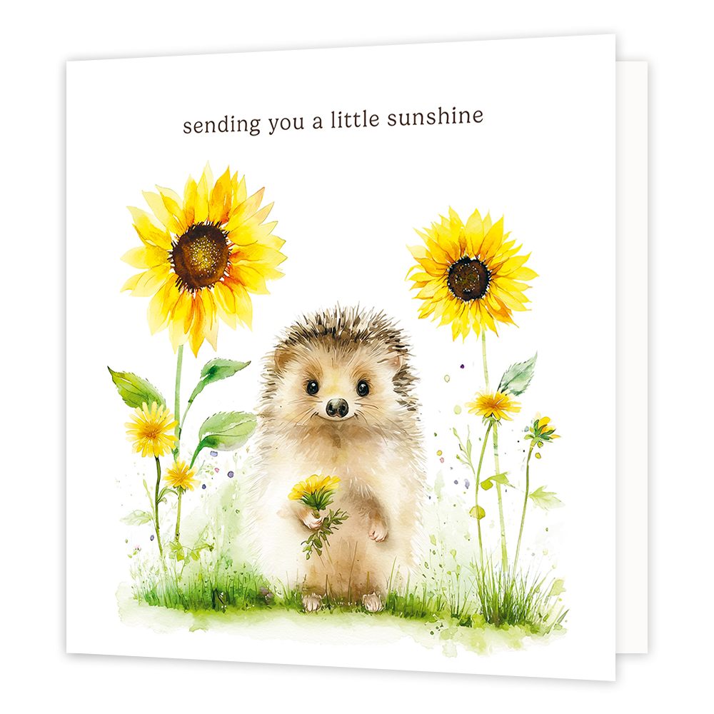 Sending you a little sunshine