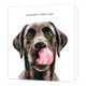 Patsboem! Dikke zoen - Formaat: Groot - Vorm: Vierkant - Vriendschapskaart - Op deze wenskaart staat de kop van een zwarte hond in aquarel-stijl afgebeeld tegen een witte achtergrond, die met zijn tong langs zijn neus likt. Bovenaan de afbeelding staat in bruine letters de tekst patsboem! dikke zoen. - Snelwenskaart