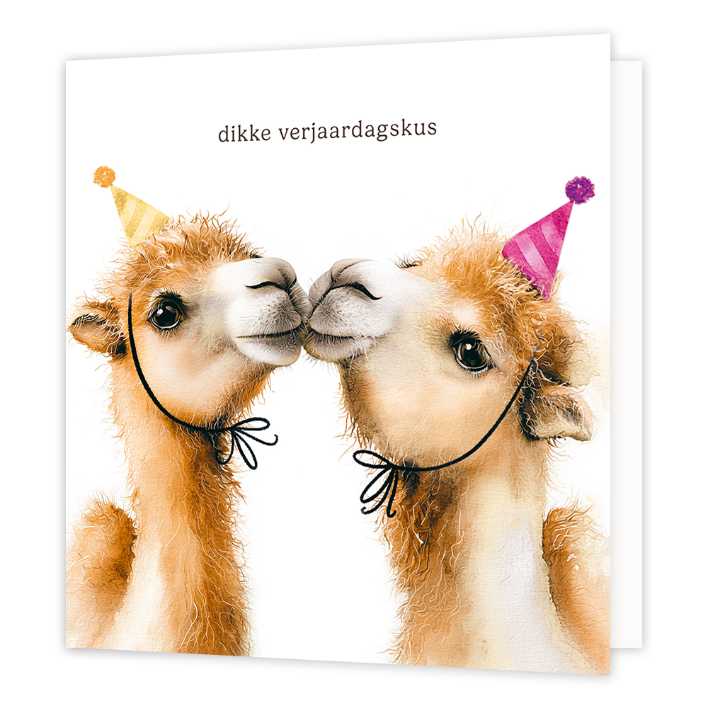 Dikke verjaardagskus - Formaat: Groot - Vorm: Vierkant - Verjaardagskaart - Op deze wenskaart staan twee bruine alpaca's of lama's afgebeeld tegen een witte achtergrond die elkaar een kus lijken te geven. Beide dieren dragen een feestmuts op hun hoofd; de linker draagt een gele met een kwastje en de rechter een roze met een pompon. Bovenaan de afbeelding staat in bruine letters de tekst dikke verjaardagskus. - Snelwenskaart