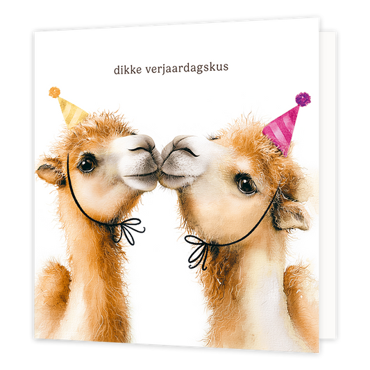 Dikke verjaardagskus - Formaat: Groot - Vorm: Vierkant - Verjaardagskaart - Op deze wenskaart staan twee bruine alpaca's of lama's afgebeeld tegen een witte achtergrond die elkaar een kus lijken te geven. Beide dieren dragen een feestmuts op hun hoofd; de linker draagt een gele met een kwastje en de rechter een roze met een pompon. Bovenaan de afbeelding staat in bruine letters de tekst dikke verjaardagskus. - Snelwenskaart