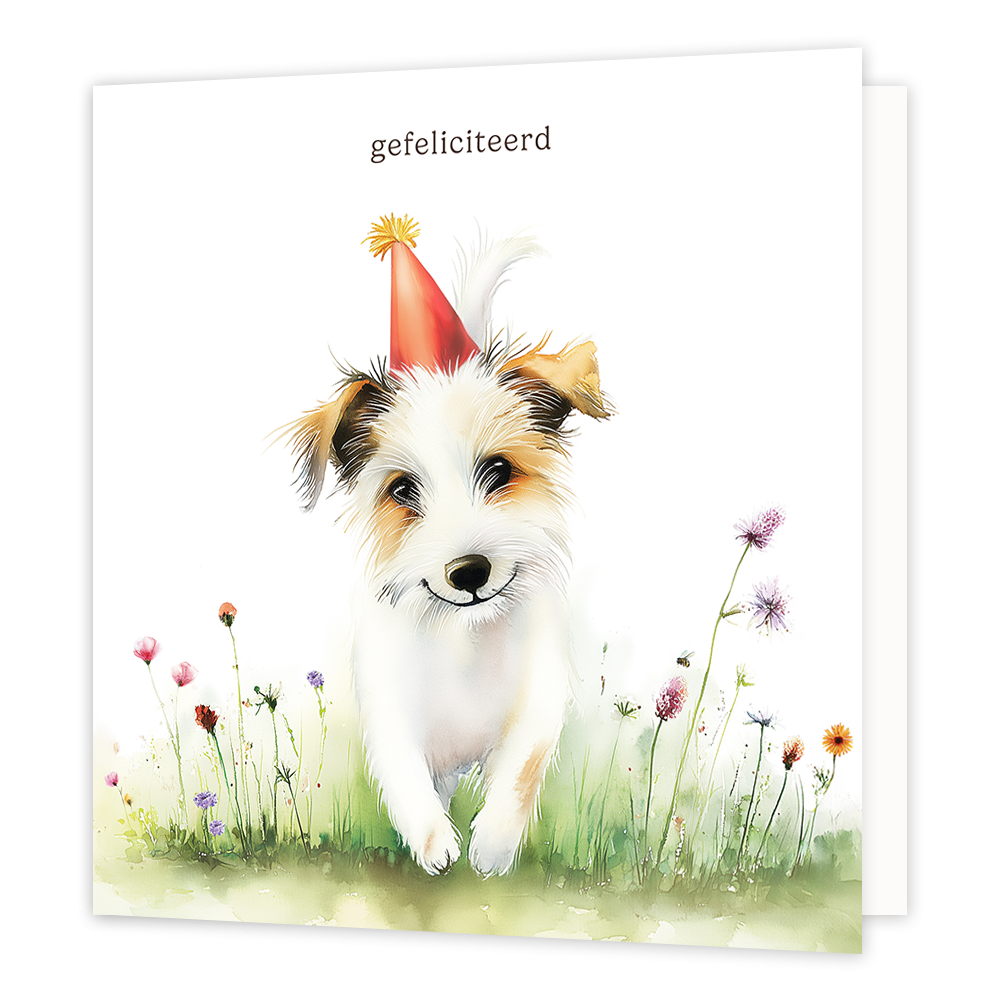 Op deze wenskaart staat een kleine hond met een rode feesthoed. Boven de hond staat in het zwart de tekst 'gefeliciteerd'.