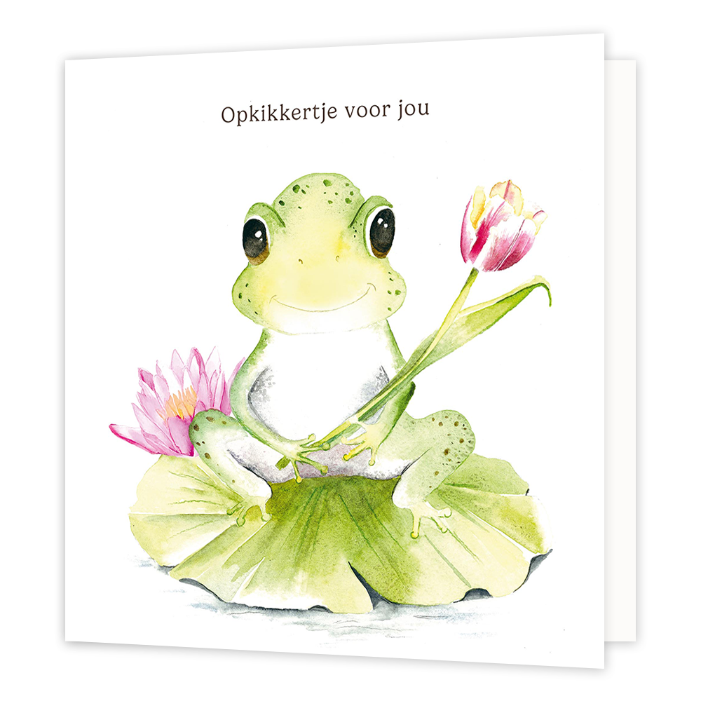 Op deze wenskaart staat een kikker met daarboven de tekst: "Opkikkertje voor jou". 