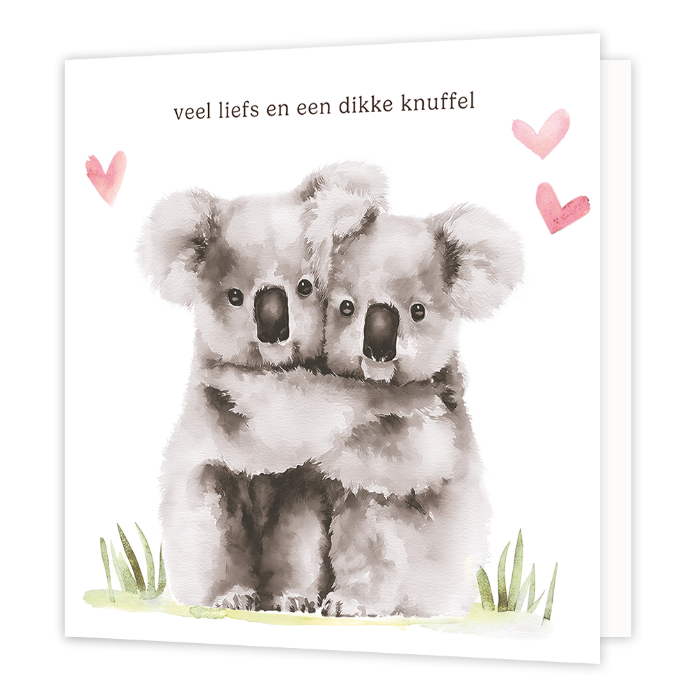 Veel liefs en een dikke knuffel