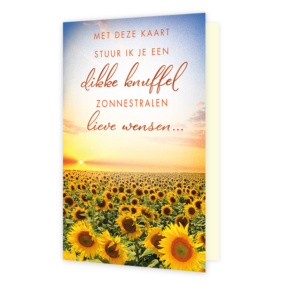 Op deze wenskaart staat een uitgestrekt zonnebloemenveld onder een warme zonsondergang aan de horizon. Centraal op de kaart staat de tekst "MET DEZE KAART STUUR IK JE EEN dikke knuffel ZONNESTRALEN lieve wensen..." in een combinatie van strakke en sierlijke letters. De heldere gele bloemen en de zachte kleuren van de lucht creëren een warme en troostrijke sfeer.