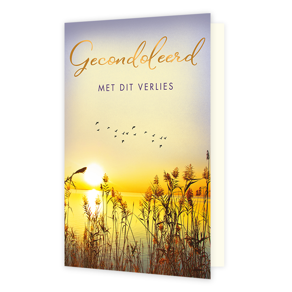 Gecondoleerd met dit verlies - Formaat: Standaard - Vorm: Staand - Condoleance kaart - Op deze wenskaart staat een verstild landschap met rietstengels op de voorgrond en een ondergaande zon boven het water op de achtergrond. In de lucht is een zwerm vogels te zien die in de verte vliegt. Bovenin de afbeelding staat de tekst "Gecondoleerd" in goudkleurige, sierlijke letters, gevolgd door de tekst "MET DIT VERLIES" in strakke hoofdletters. De warme, goudgele tinten van de zonsondergang zorgen voor een serene