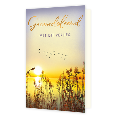 Gecondoleerd met dit verlies - Formaat: Standaard - Vorm: Staand - Condoleance kaart - Op deze wenskaart staat een verstild landschap met rietstengels op de voorgrond en een ondergaande zon boven het water op de achtergrond. In de lucht is een zwerm vogels te zien die in de verte vliegt. Bovenin de afbeelding staat de tekst "Gecondoleerd" in goudkleurige, sierlijke letters, gevolgd door de tekst "MET DIT VERLIES" in strakke hoofdletters. De warme, goudgele tinten van de zonsondergang zorgen voor een serene