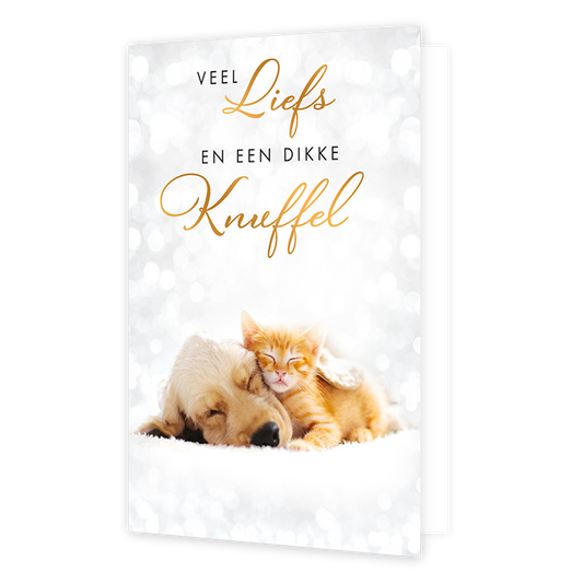 Veel liefs en een dikke knuffel - Formaat: Standaard - Vorm: Staand - Denken aan kaart - Op deze wenskaart ligt een puppy vredig te slapen met een klein oranje kitten tegen zich aan geklemd. Boven het tweetal staat de tekst "VEEL Liefs EN EEN DIKKE Knuffel" in een combinatie van zwarte hoofdletters en goudkleurige sierlijke letters. De achtergrond is licht en sprankelend, wat een dromerige en zachte sfeer creëert. Het beeld straalt warmte, vriendschap en genegenheid uit. - Snelwenskaart