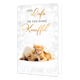 Op deze wenskaart ligt een puppy vredig te slapen met een klein oranje kitten tegen zich aan geklemd. Boven het tweetal staat de tekst "VEEL Liefs EN EEN DIKKE Knuffel" in een combinatie van zwarte hoofdletters en goudkleurige sierlijke letters. De achtergrond is licht en sprankelend, wat een dromerige en zachte sfeer creëert. Het beeld straalt warmte, vriendschap en genegenheid uit.