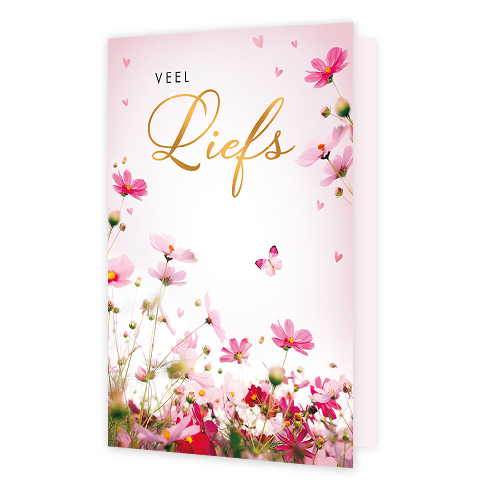 Veel liefs - Formaat: Standaard - Vorm: Staand - Liefdeskaart - Op deze wenskaart staan onderaan bloeiende roze en rode cosmea-bloemen, waarbij een kleine vlinder tussen de bloemen door vliegt en er diverse kleine hartjes door de lucht zweven. Bovenaan de kaart staat de tekst "VEEL Liefs" in een combinatie van strakke zwarte letters en een sierlijk, goudkleurig lettertype. De lichte roze achtergrond en de bloemen zorgen voor een vrolijke, lenteachtige en liefdevolle uitstraling. - Snelwenskaart